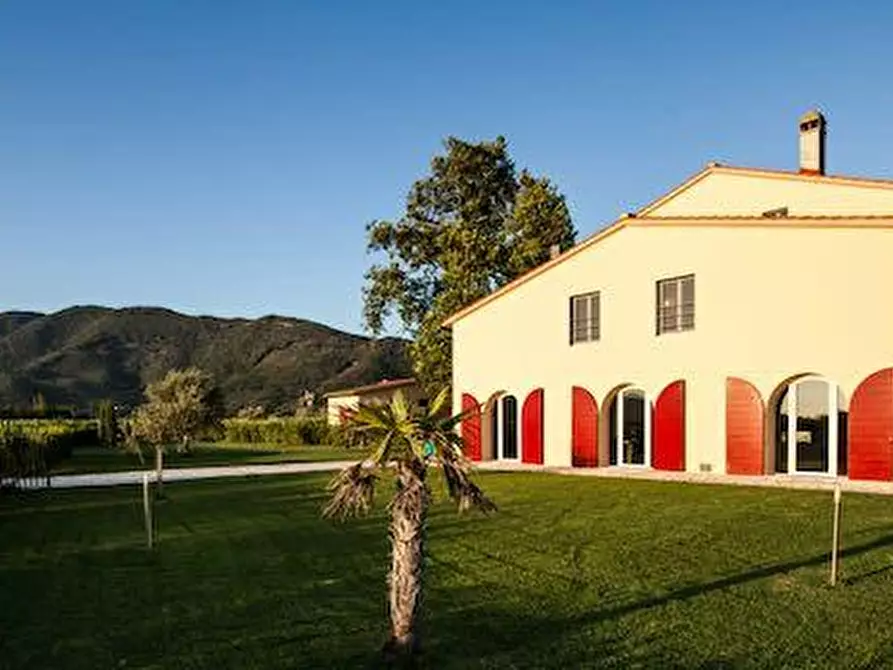 Immagine 18 di Terratetto in vendita  a San Giuliano Terme