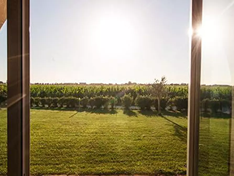 Immagine 3 di Terratetto in vendita  a San Giuliano Terme