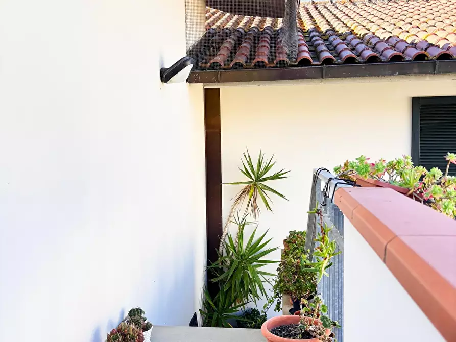 Immagine 13 di Appartamento in vendita  a Vinci