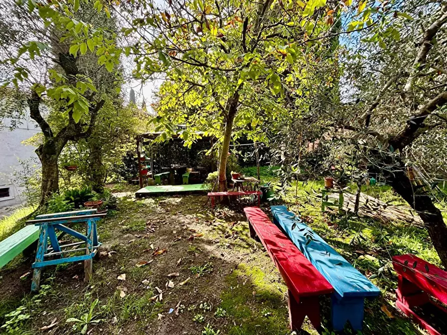 Immagine 3 di Rustico / casale in vendita  a Terricciola