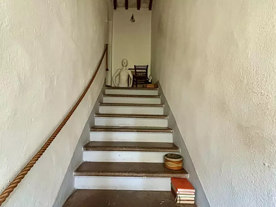 Immagine 8 di Rustico / casale in vendita  a Terricciola