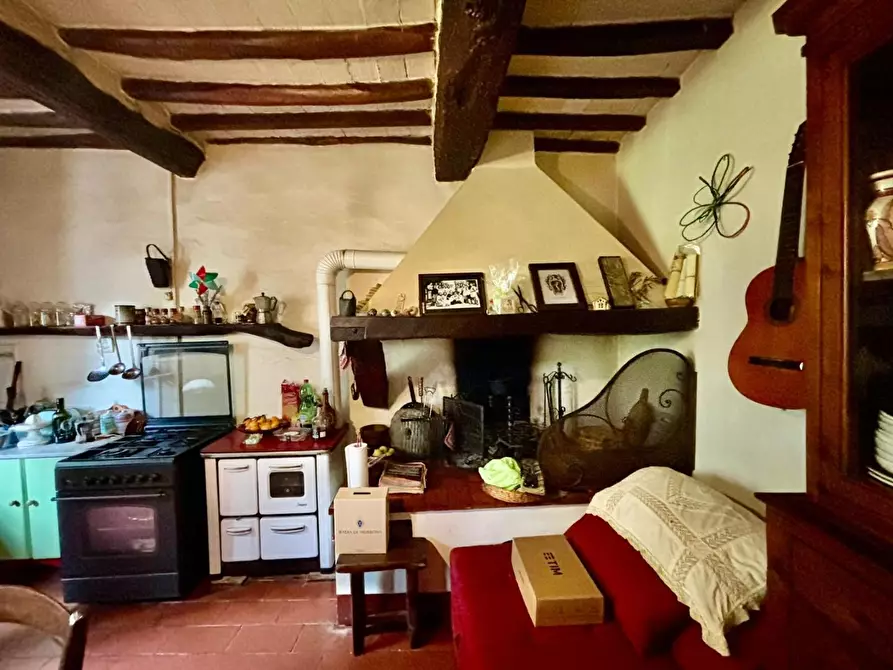 Immagine 7 di Rustico / casale in vendita  a Terricciola
