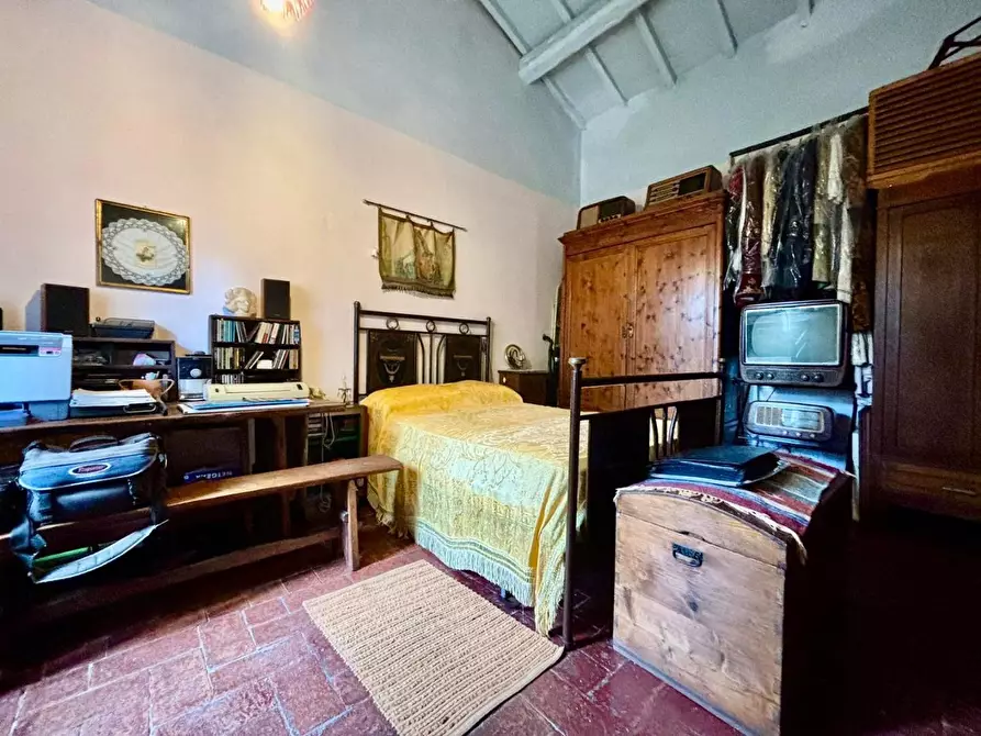 Immagine 13 di Rustico / casale in vendita  a Terricciola
