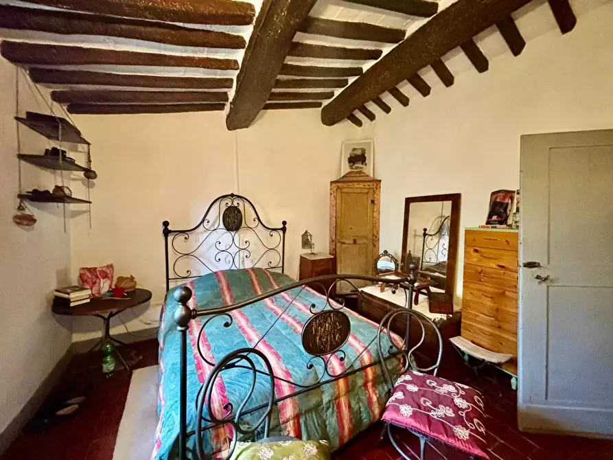 Immagine 10 di Rustico / casale in vendita  a Terricciola