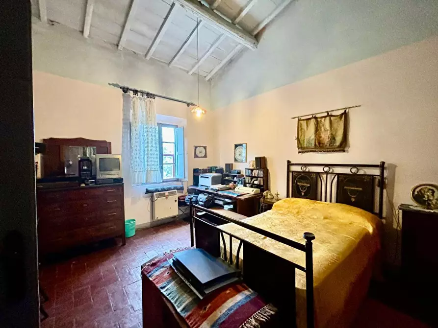Immagine 14 di Rustico / casale in vendita  a Terricciola