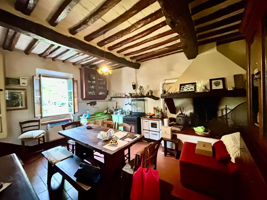Immagine 6 di Rustico / casale in vendita  a Terricciola