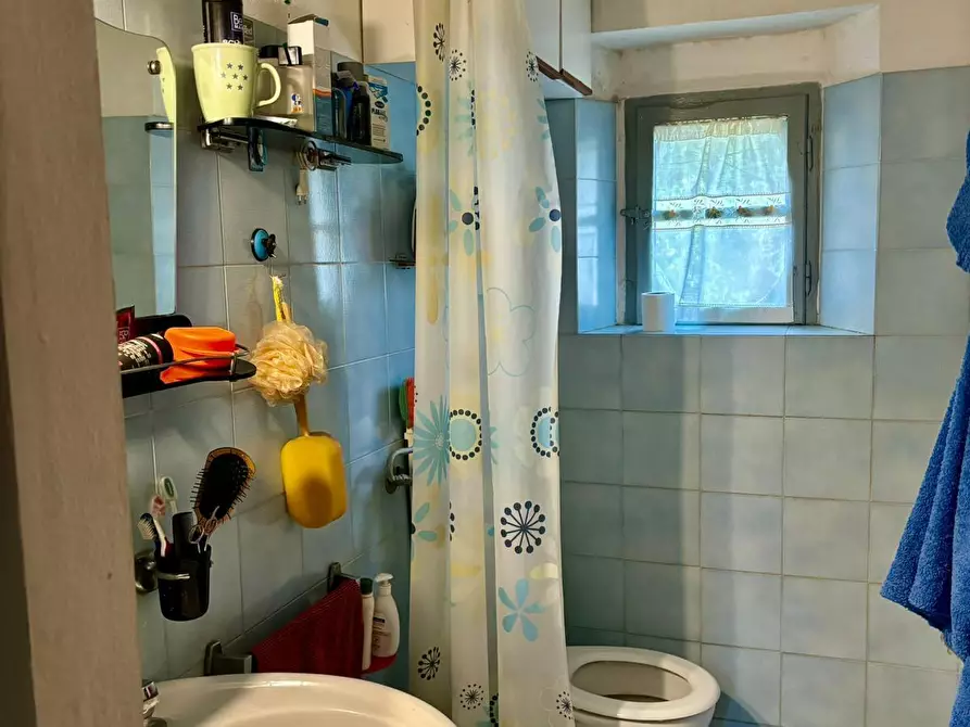 Immagine 16 di Rustico / casale in vendita  a Terricciola