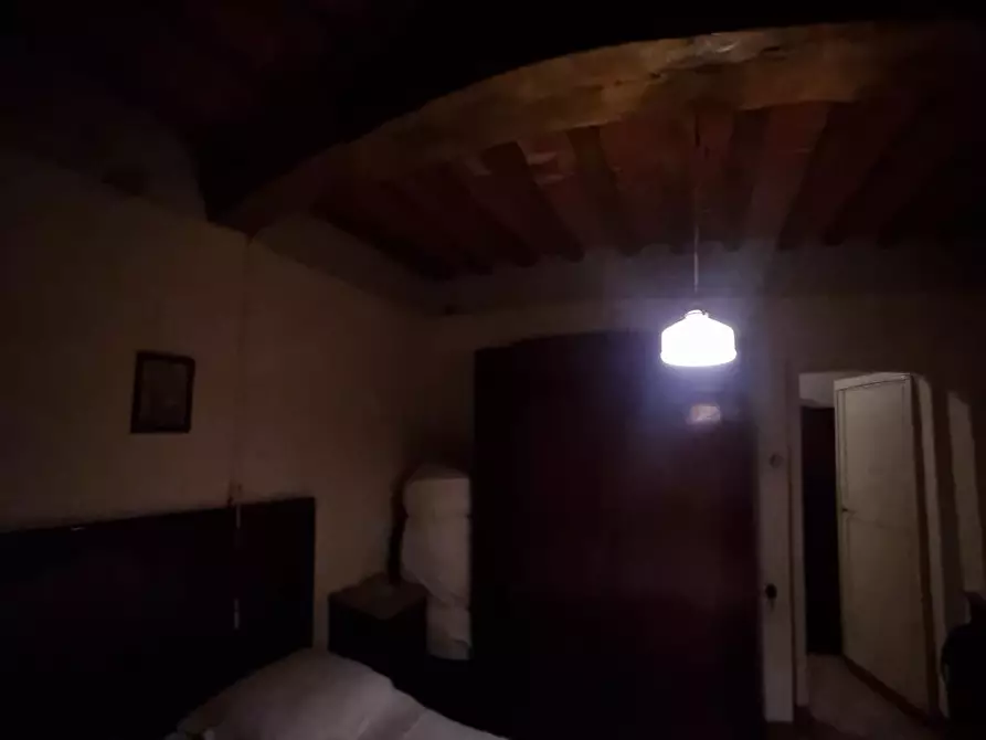 Immagine 34 di Terratetto in vendita  a Fauglia