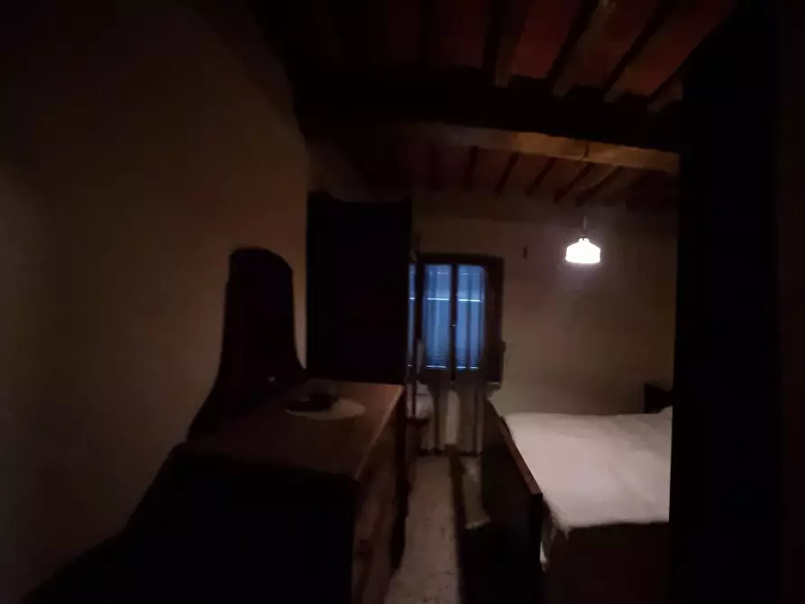 Immagine 36 di Terratetto in vendita  a Fauglia