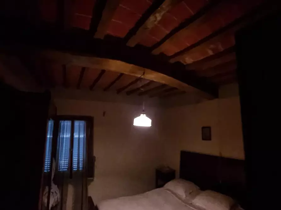 Immagine 33 di Terratetto in vendita  a Fauglia