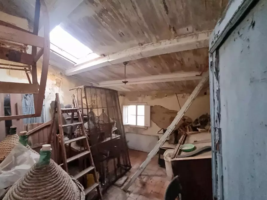 Immagine 24 di Terratetto in vendita  a Fauglia