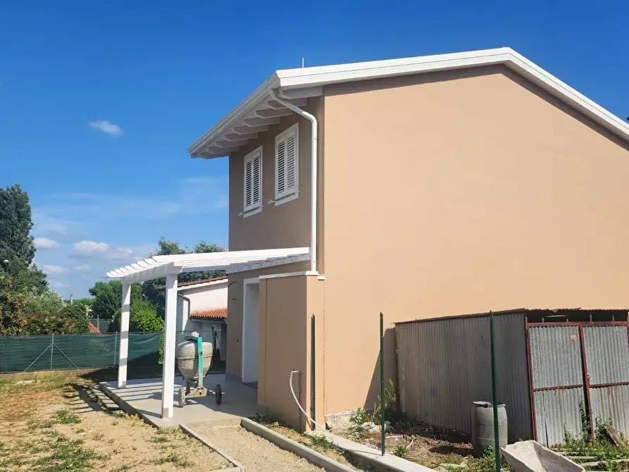 Immagine 3 di Terratetto in vendita  a Buti