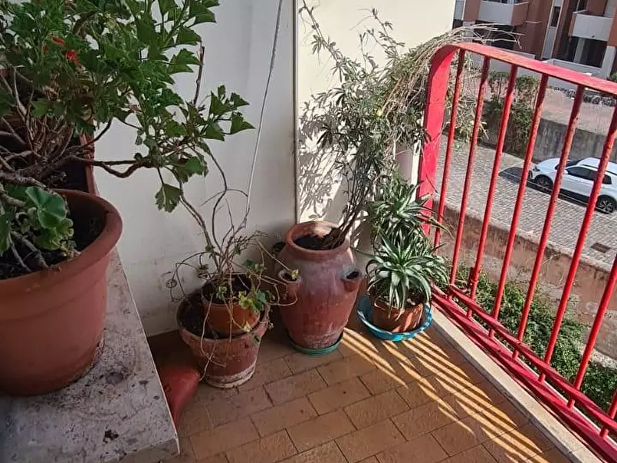 Immagine 25 di Appartamento in vendita  a Livorno