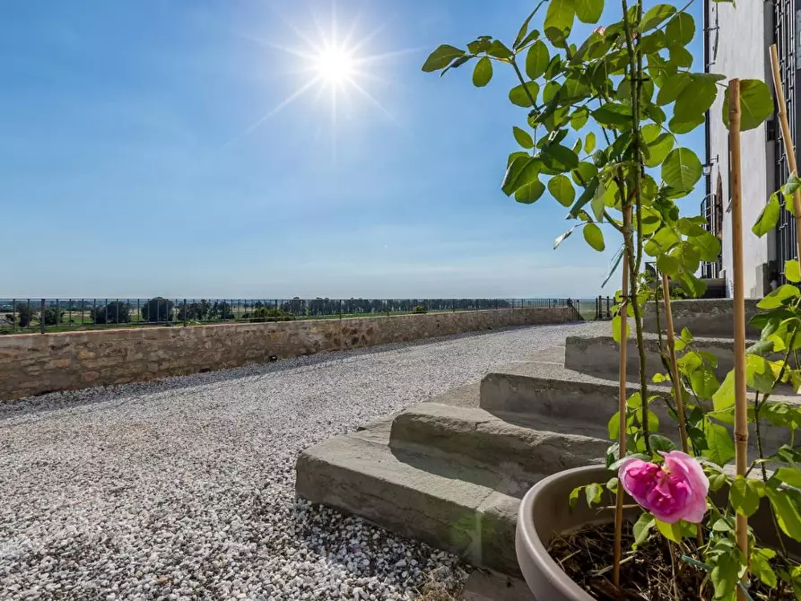 Immagine 23 di Villa in vendita  a Vecchiano
