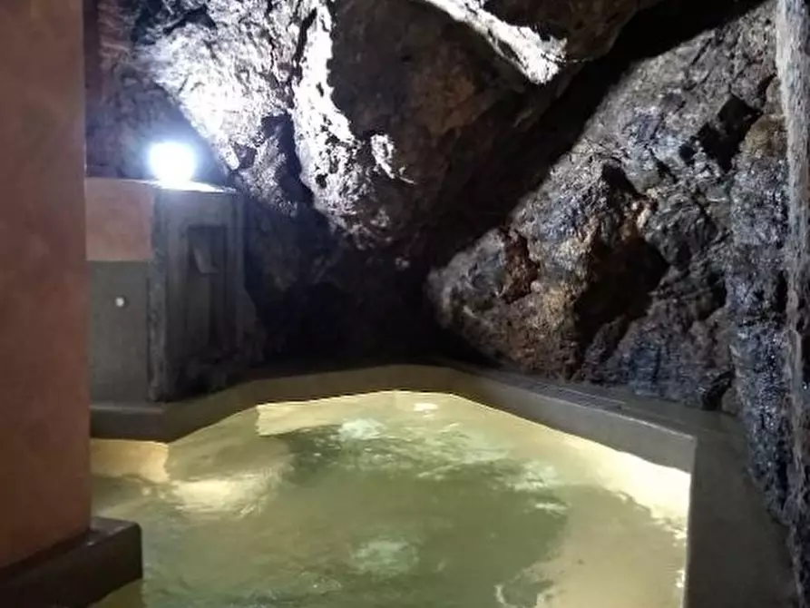 Immagine 25 di Villa in vendita  a Vecchiano