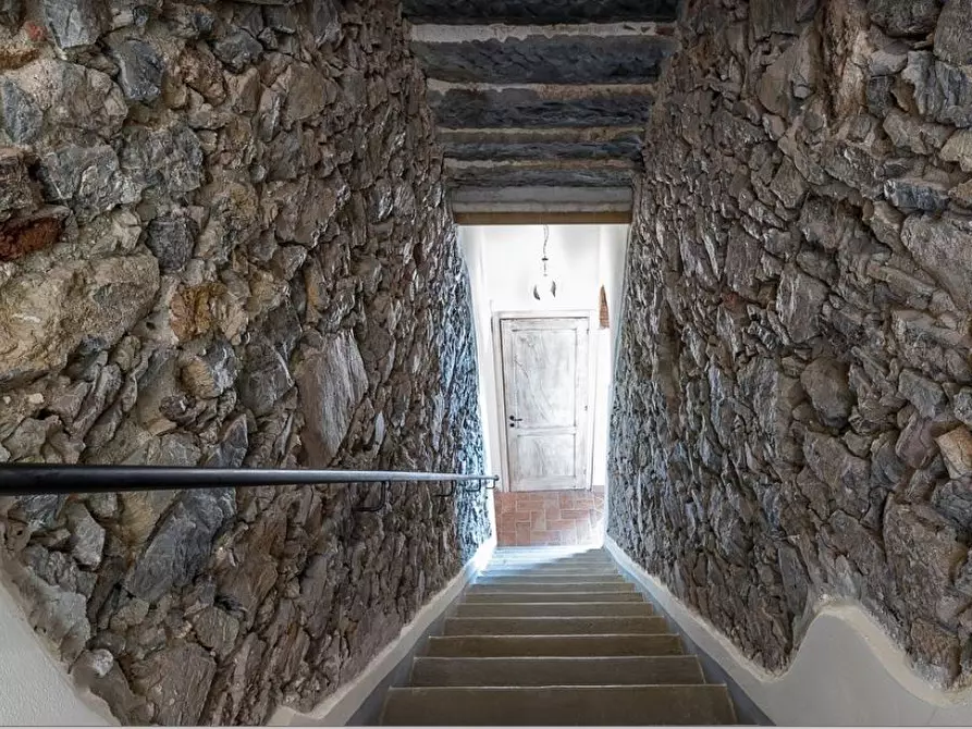 Immagine 24 di Villa in vendita  a Vecchiano