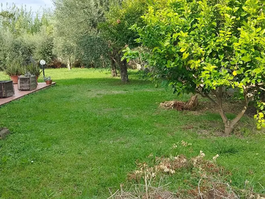 Immagine 1 di Casa bifamiliare in vendita  a Cascina