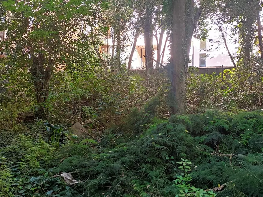 Immagine 3 di Palazzo in vendita  a Piombino