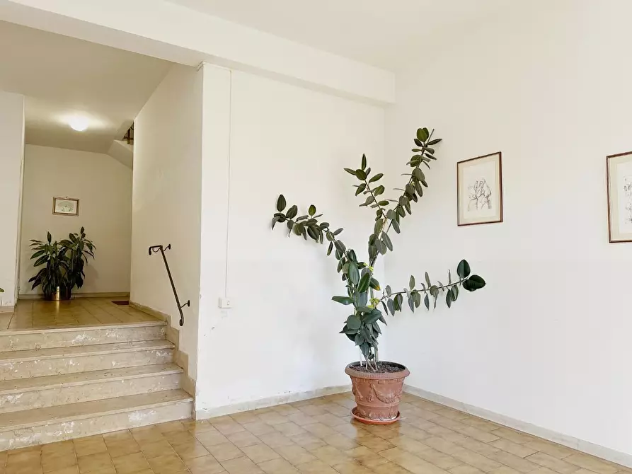 Immagine 14 di Appartamento in vendita  a Lucca