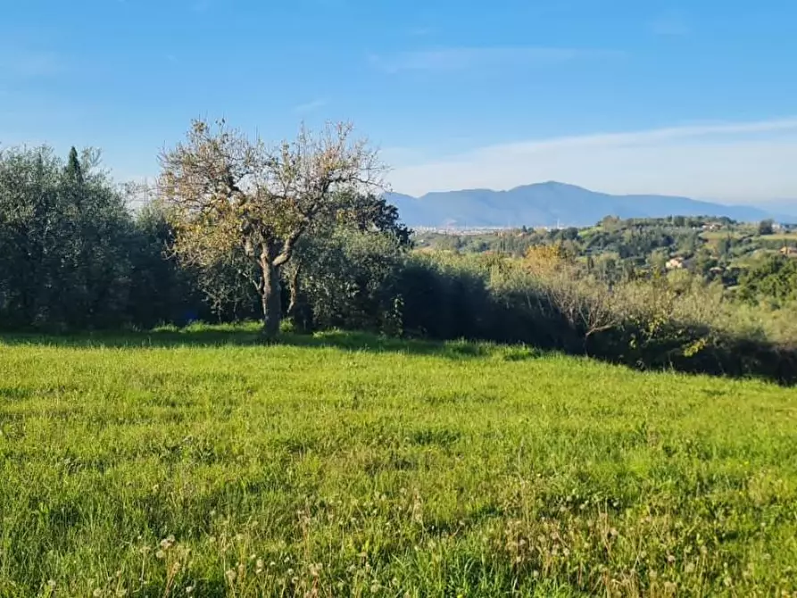 Immagine 9 di Terreno residenziale in vendita  a Capannoli