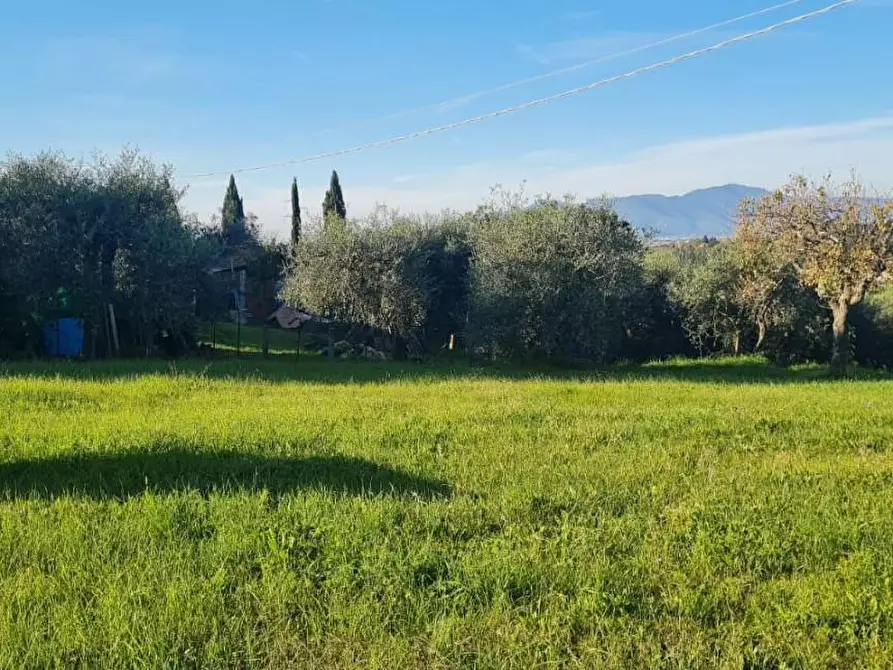 Immagine 6 di Terreno residenziale in vendita  a Capannoli