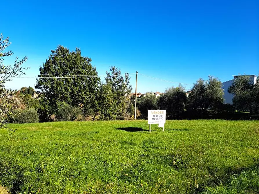 Immagine 11 di Terreno residenziale in vendita  a Capannoli