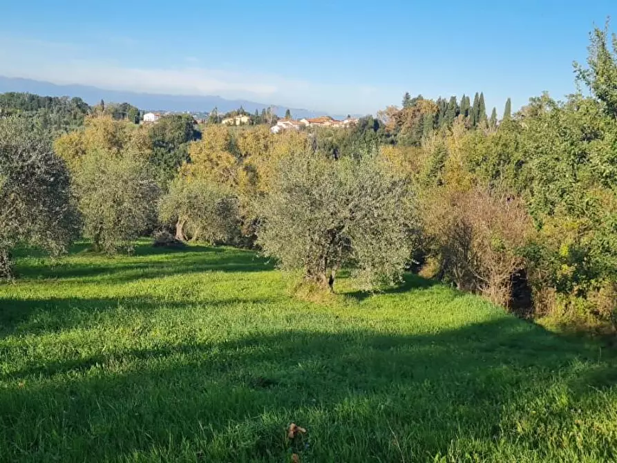 Immagine 8 di Terreno residenziale in vendita  a Capannoli