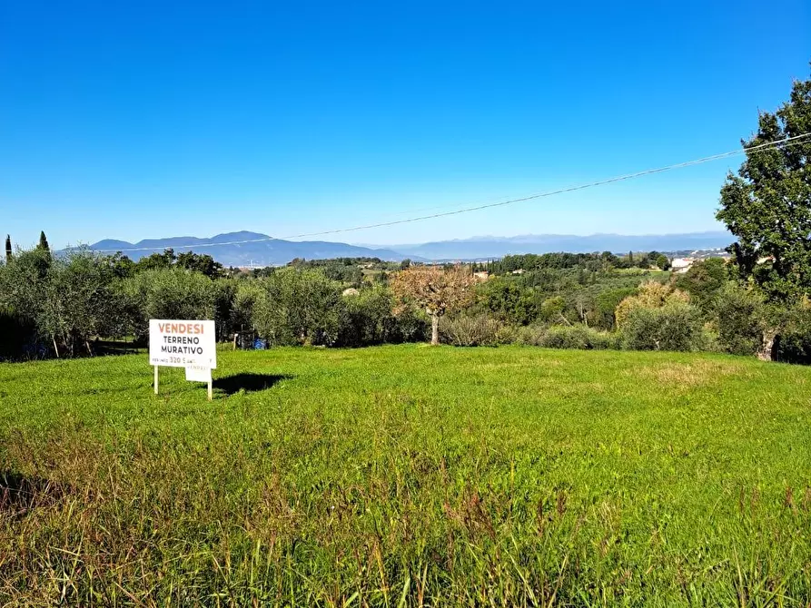 Immagine 5 di Terreno residenziale in vendita  a Capannoli