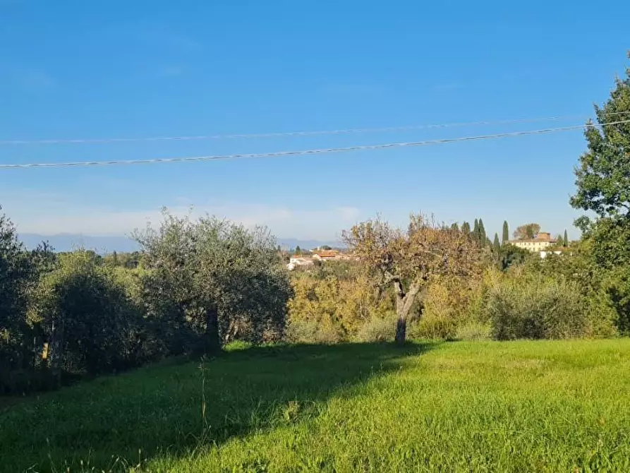 Immagine 4 di Terreno residenziale in vendita  a Capannoli