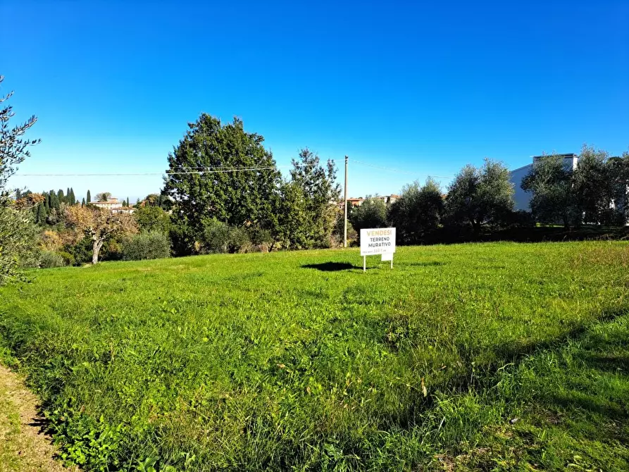 Immagine 3 di Terreno residenziale in vendita  a Capannoli