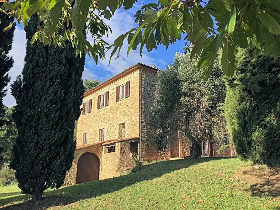 Immagine 1 di Casa colonica in vendita  a Chianni