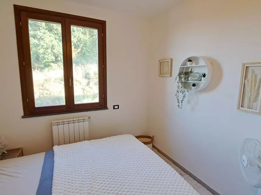 Immagine 16 di Appartamento in vendita  a Rosignano Marittimo