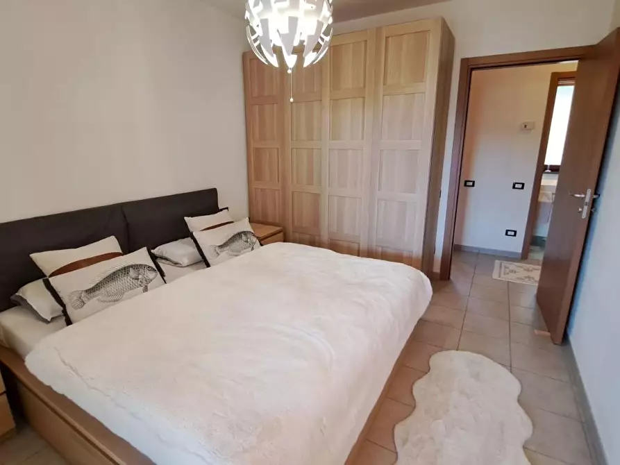 Immagine 12 di Appartamento in vendita  a Rosignano Marittimo