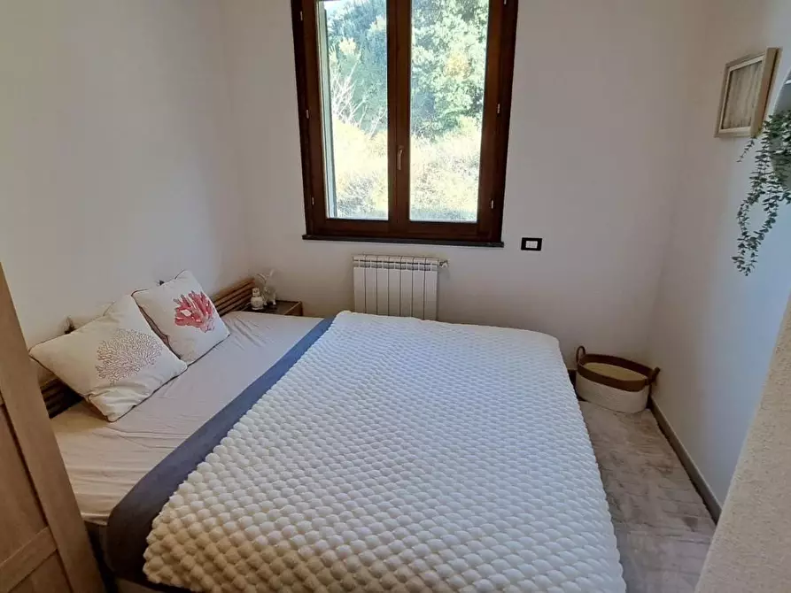 Immagine 15 di Appartamento in vendita  a Rosignano Marittimo