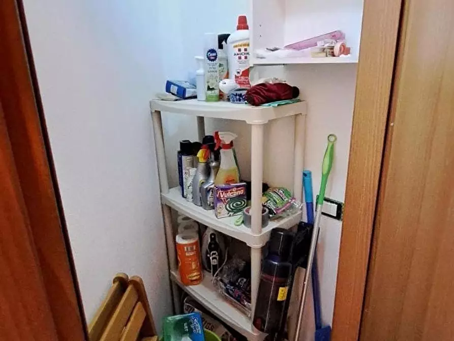 Immagine 19 di Appartamento in vendita  a Rosignano Marittimo