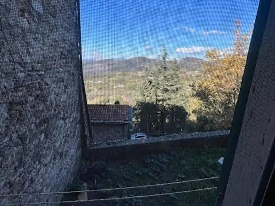 Immagine 13 di Terratetto in vendita  a Fosdinovo