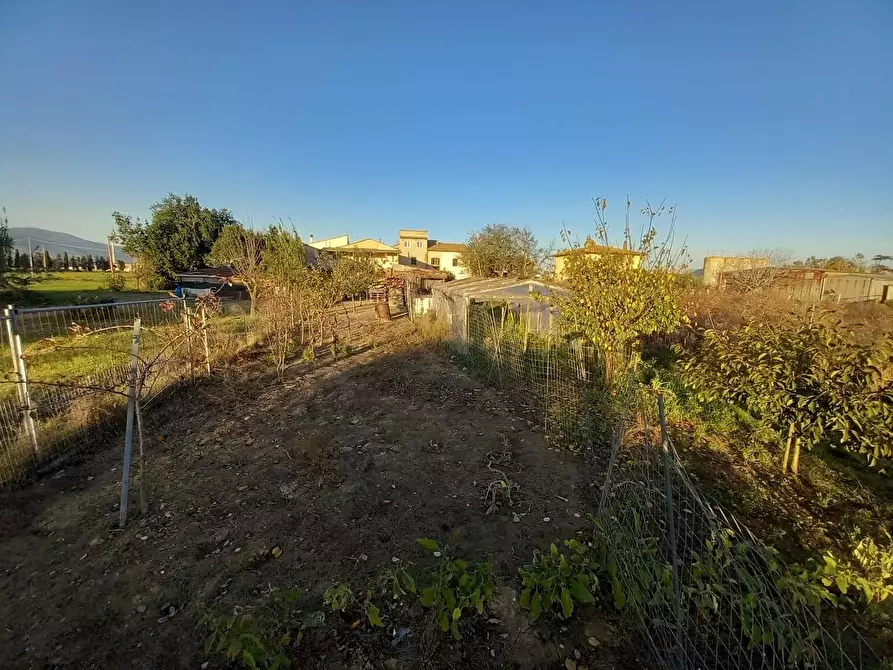 Immagine 21 di Appartamento in vendita  a Pontedera