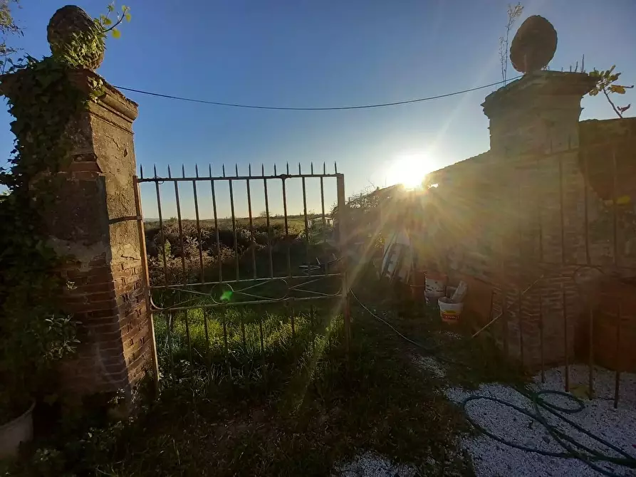 Immagine 6 di Appartamento in vendita  a Pontedera