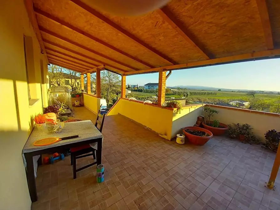 Immagine 14 di Appartamento in vendita  a Pontedera