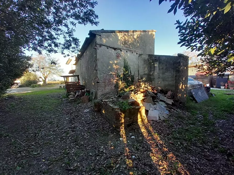 Immagine 22 di Appartamento in vendita  a Pontedera