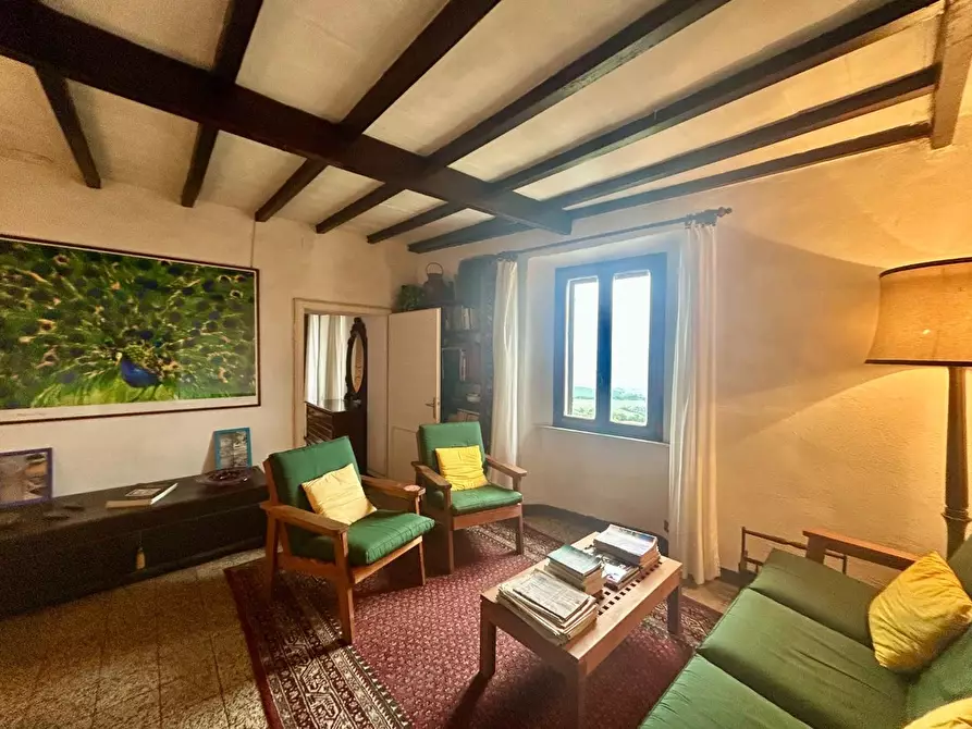 Immagine 3 di Appartamento in vendita  a Civitella Paganico