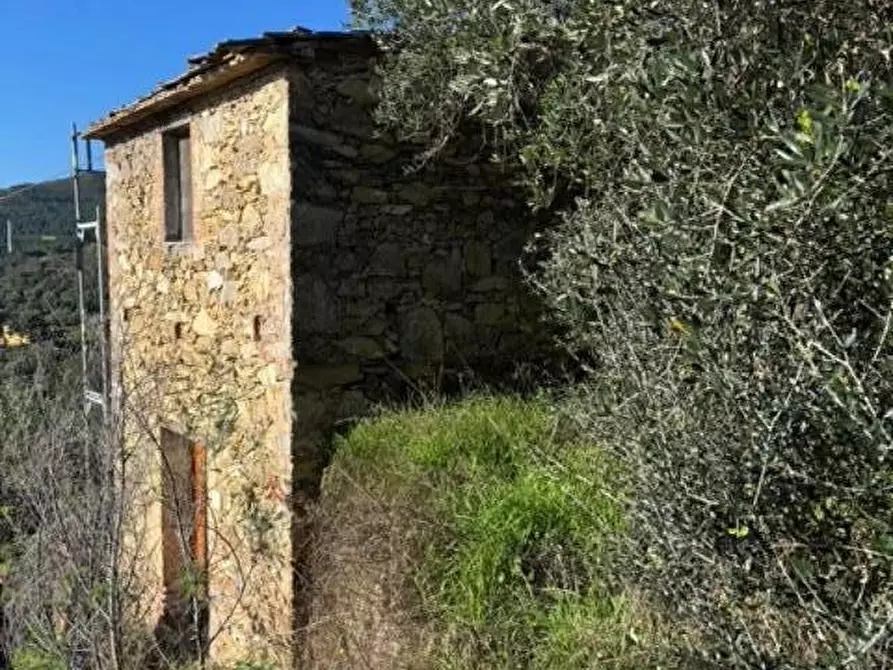 Immagine 6 di Rustico / casale in vendita  a Vicopisano