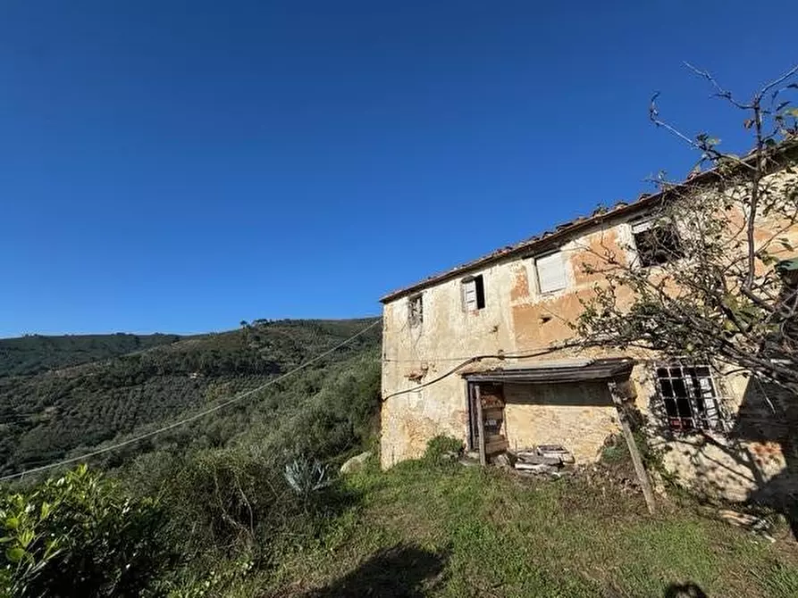 Immagine 3 di Rustico / casale in vendita  a Vicopisano