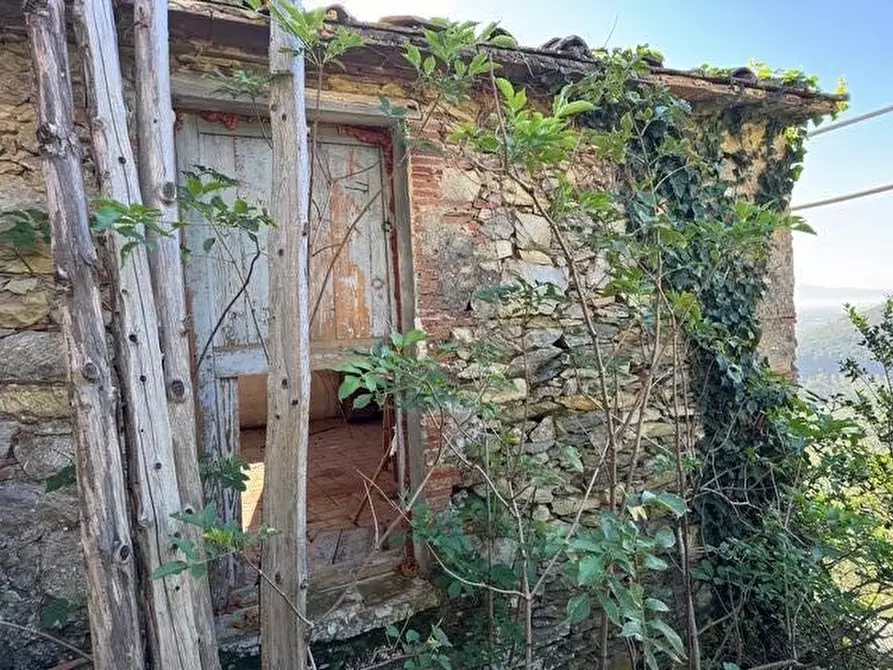 Immagine 7 di Rustico / casale in vendita  a Vicopisano