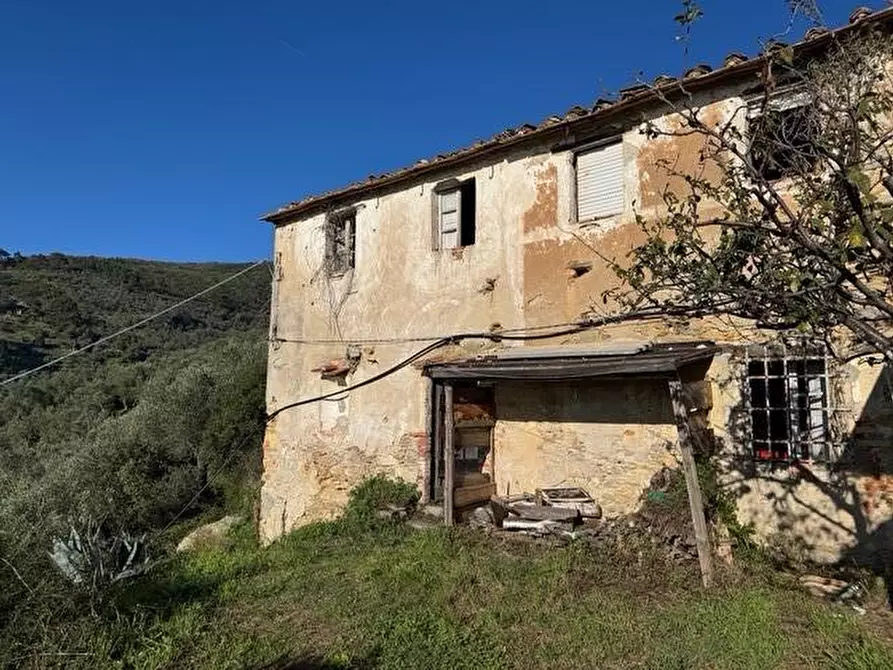 Immagine 1 di Rustico / casale in vendita  a Vicopisano