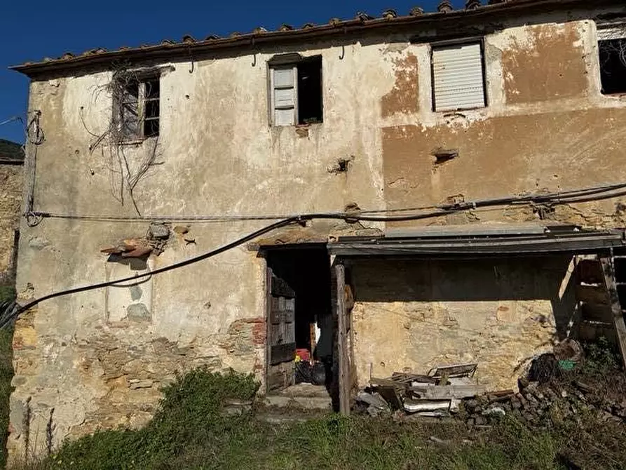 Immagine 2 di Rustico / casale in vendita  a Vicopisano