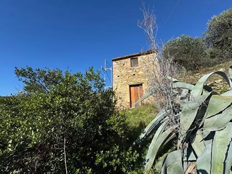 Immagine 4 di Rustico / casale in vendita  a Vicopisano