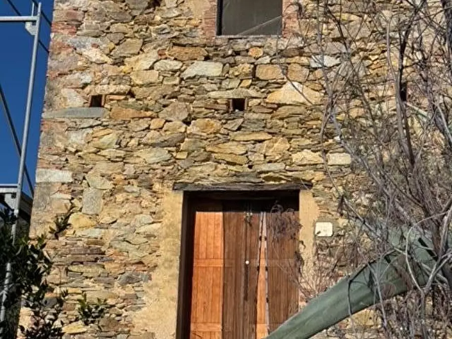 Immagine 5 di Rustico / casale in vendita  a Vicopisano