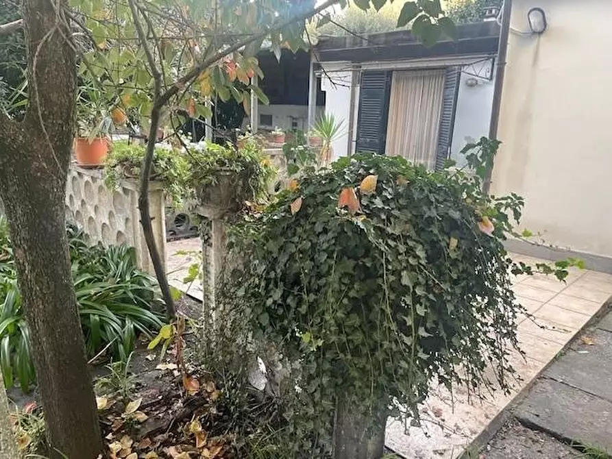 Immagine 5 di Casa bifamiliare in vendita  a Carrara