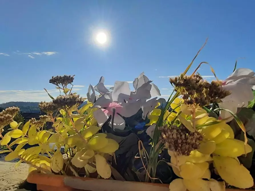 Immagine 18 di Terratetto in vendita  a Montopoli In Val D'arno